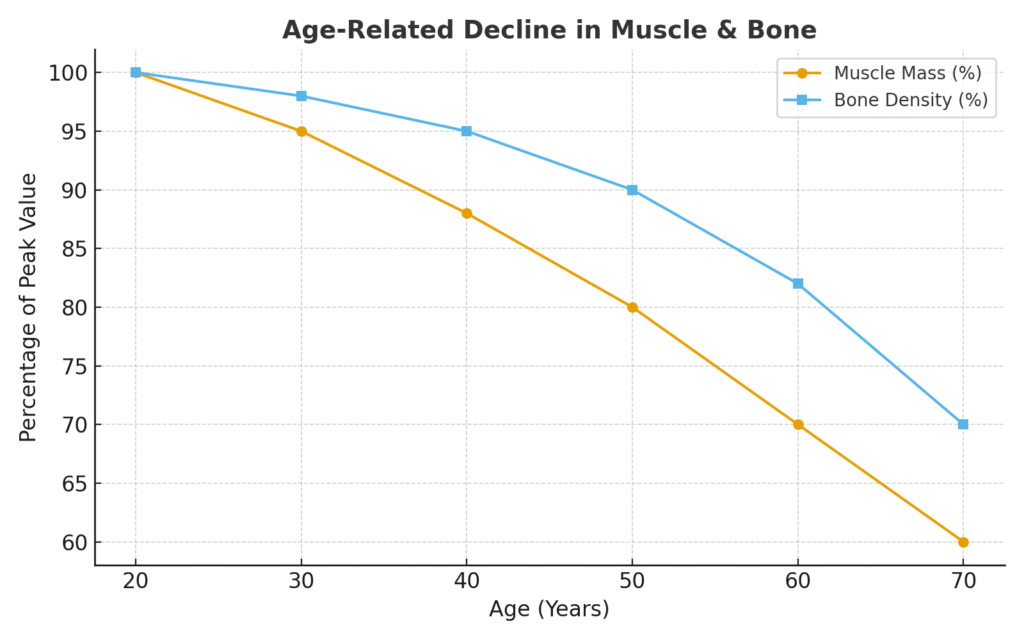 Chart showing muscle bone decline