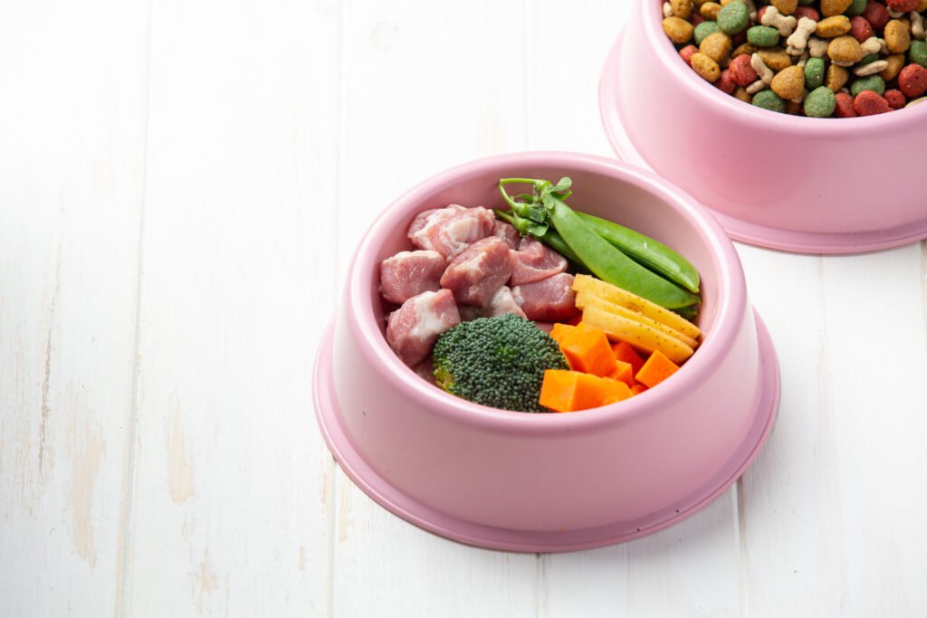 healthy fresh pet food in a pink bowl