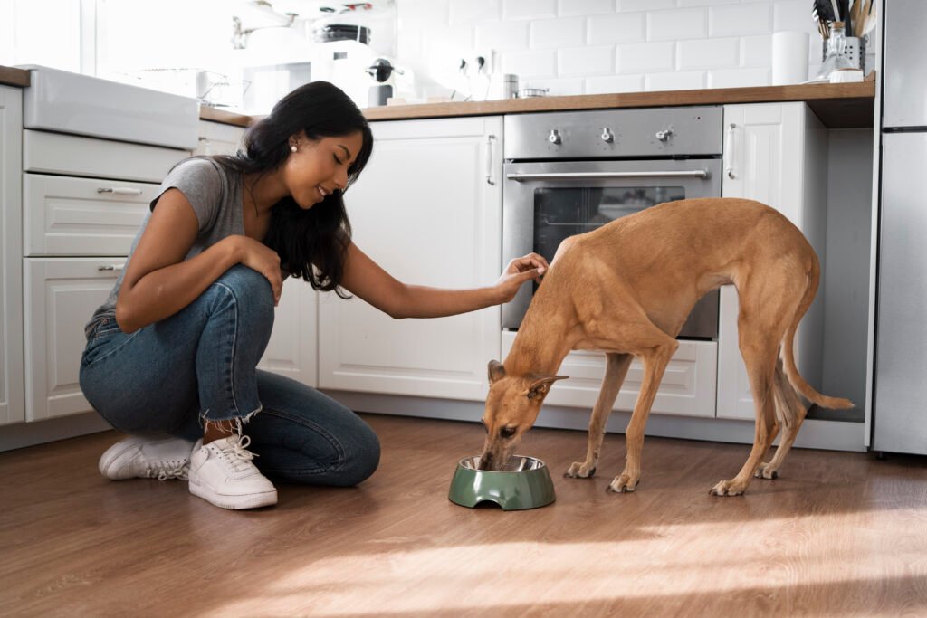 Woman feeding her dog in the kitchen