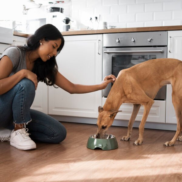 Woman feeding her dog in the kitchen