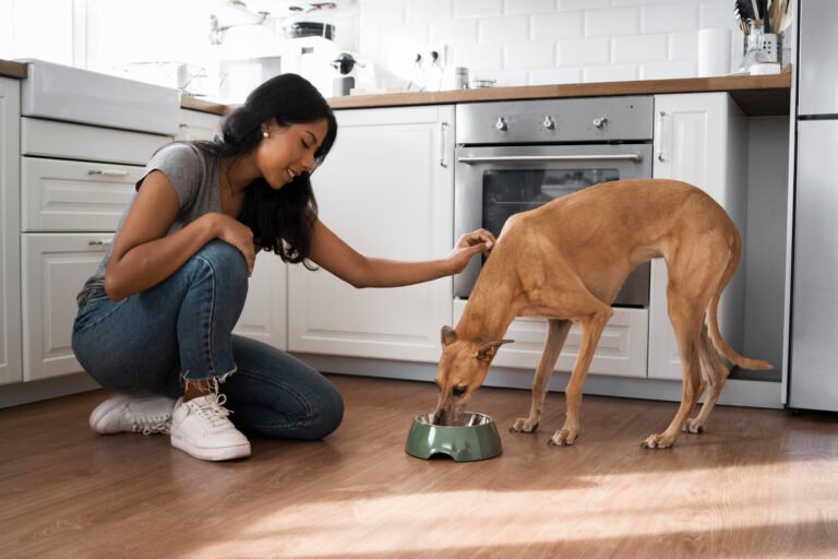 Woman feeding her dog in the kitchen